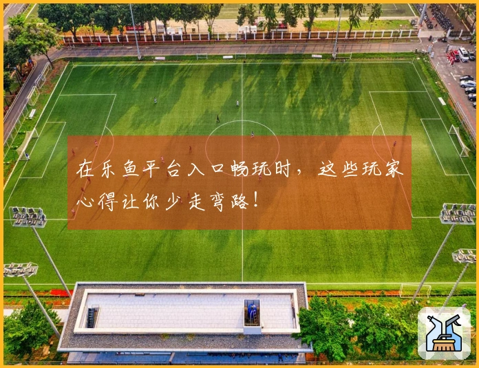 在乐鱼平台入口畅玩时，这些玩家心得让你少走弯路！