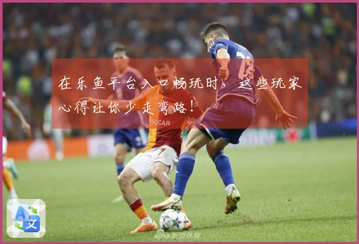 在乐鱼平台入口畅玩时，这些玩家心得让你少走弯路！