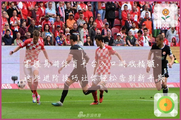 掌握易游体育平台入口游戏精髓，这些进阶技巧让你轻松告别新手期，登顶竞技之巅！